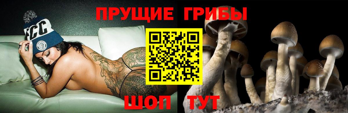Галлюциногенные грибы прущие грибы  Вход с VPN  наркотики  Кисловодск  Галлюциногенные грибы MAGIC MUSHROOMS 